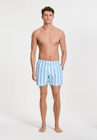 Herren-Badehosen in Hellblau mit weißen Streifen, ausgestattet mit einem elastischen Bund und einem Zugband, seitlichen Taschen und einem Logo am Saum.