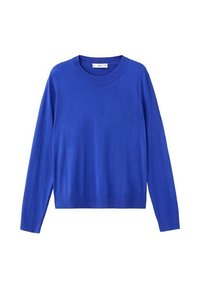 Maglione blu reale realizzato con materiale morbido, caratterizzato da una scollatura tonda, maniche lunghe e una vestibilità morbida con orlo a coste.