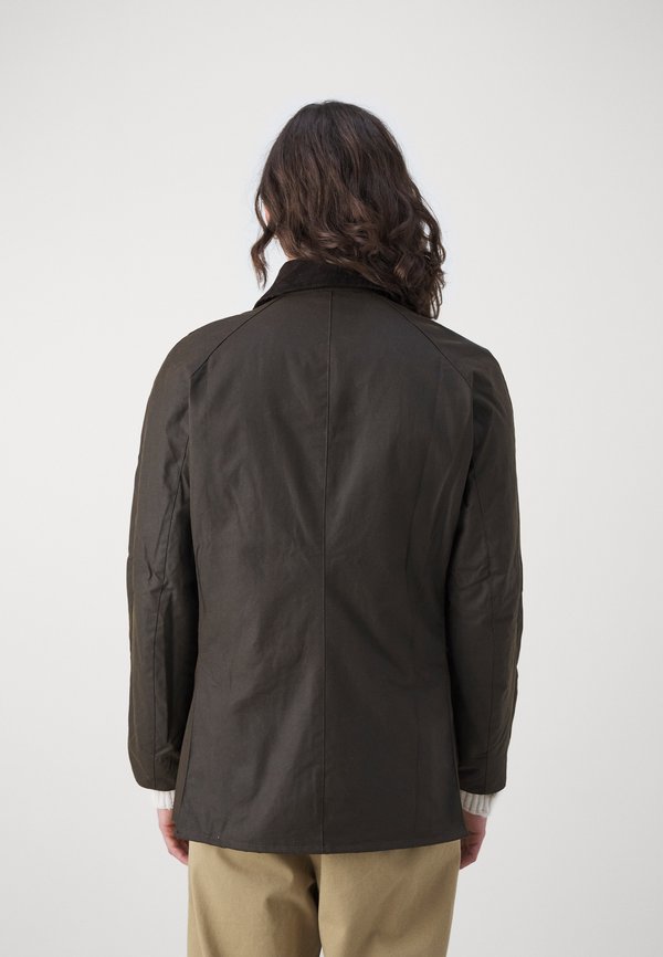 ASHBY JACKET - Summer jacket - olive2