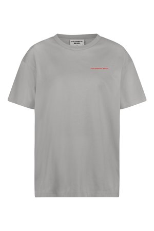 Colourful Rebel WORLD TOUR TEE - T-shirt con stampa - light grey