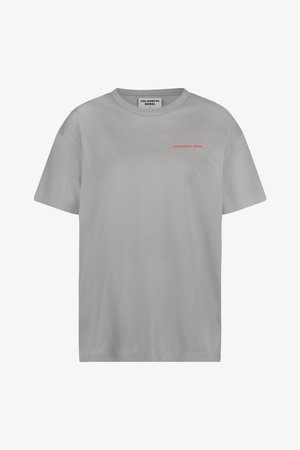 Colourful Rebel WORLD TOUR TEE - T-shirt print - light grey