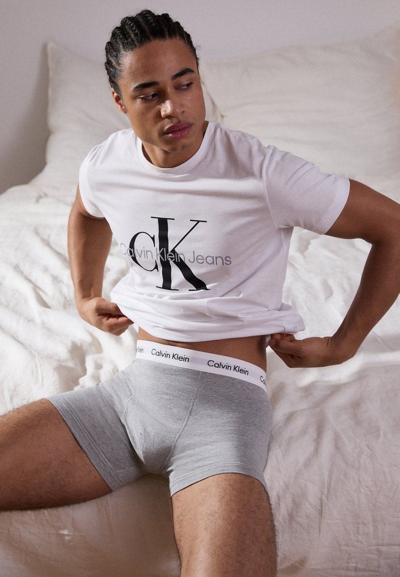 T-shirt s logom Calvin Klein v bielej farbe, v kombinácii s šedými boxeriek s kontrastným pásom. Hladká tkanina, voľný strih.