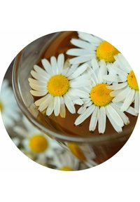 PostQuam POSTQUAM HAIR CARE DERMOPROTECT DRANDRUFF HAIR TREATMENT 12* 9 M - Sérum capillaire