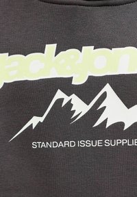 Felpa grigia con una grande grafica di montagna bianca e un testo audace di colore verde chiaro che recita "jack&jones" e "STANDARD ISSUE SUPPLIERS."