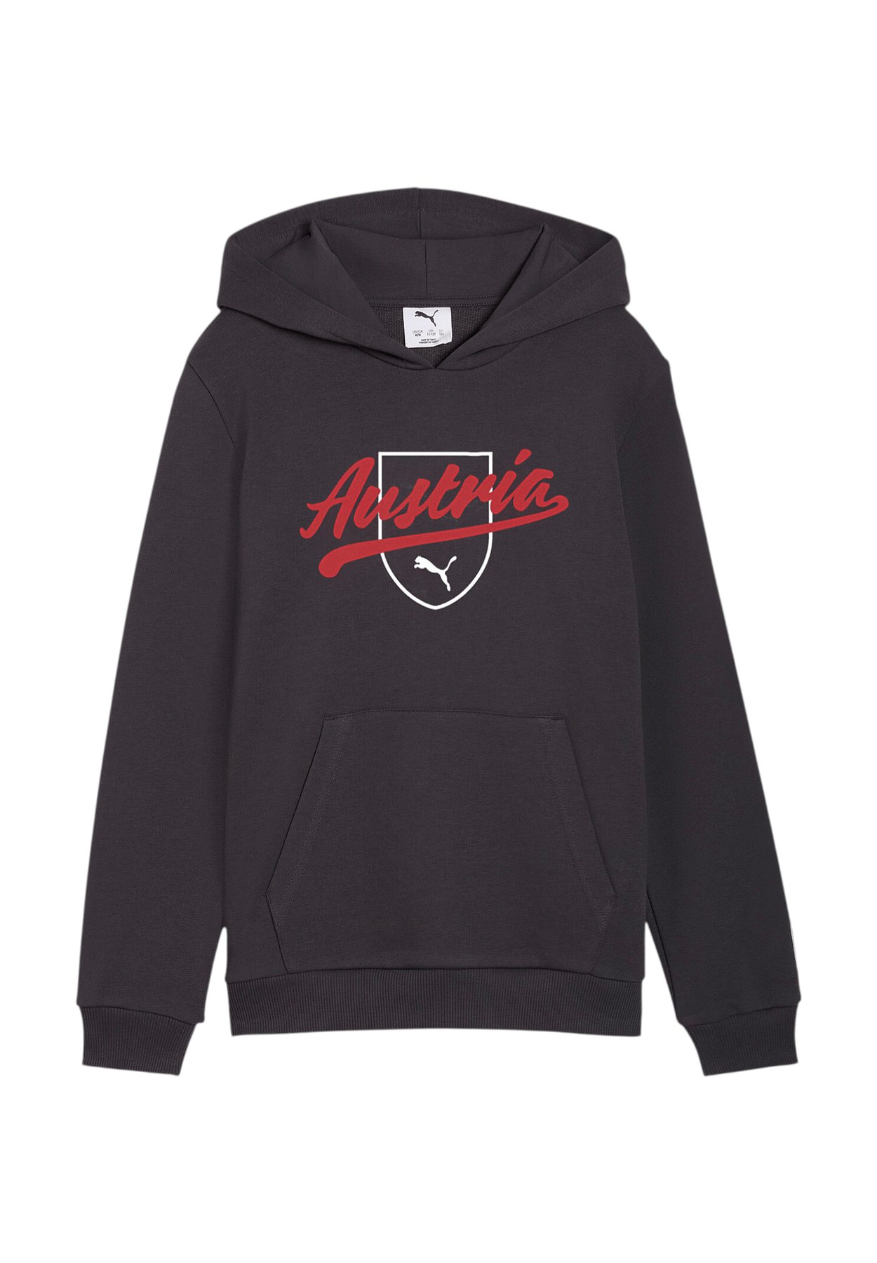 PUMA ÖFB ÖSTERREICH FTBLCULTURE HOODY KIDS REPLICAS - SWEATSHIRTS - National team wear - grauweiss