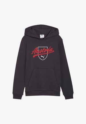 Puma, PUMA ÖFB ÖSTERREICH FTBLCULTURE HOODY KIDS REPLICAS - SWEATSHIRTS - Squadra nazionale - grauweiss
