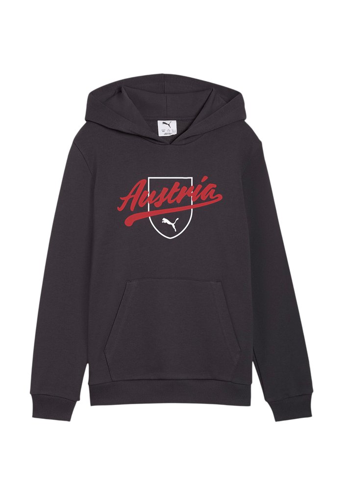 PUMA ÖFB ÖSTERREICH FTBLCULTURE HOODY KIDS REPLICAS - SWEATSHIRTS - National team wear - grauweiss