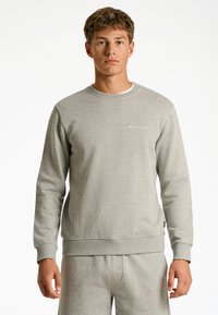 Ljusgrå sweatshirt i mjukt material, med rundad halsringning, långa ärmar och ribbad mudd, med diskret logotyp på bröstet.