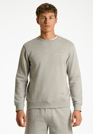 Lichtgrijze sweatshirt gemaakt van zacht materiaal, met een ronde hals, lange mouwen en geribbelde manchetten, met subtiele branding op de borst.