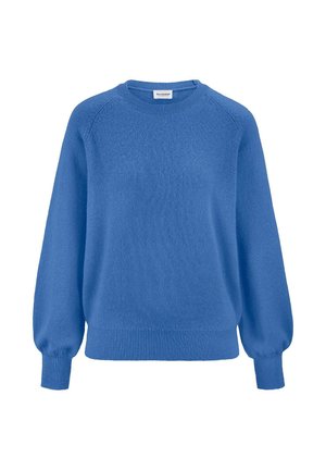 Blauer Langarm-Pullover mit Rundhalsausschnitt, gerippten Bündchen und Saum, hergestellt aus weichem Strickstoff.
