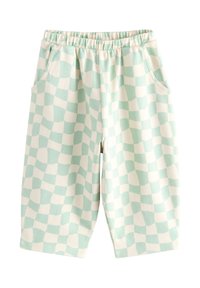 Leichte, mintgrün karierte Shorts mit elastischem Bund und zwei Seitentaschen. Sie zeichnen sich durch eine weiche Textur und ein knielanges Design aus.