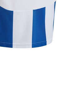 Blauwe en witte gestreepte sportshorts van meshstof, met een gladde textuur en gestikte zoom voor duurzaamheid.