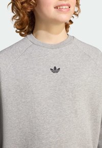 Svetlo šedá mikina s rebrovaným okrúhlym výstrihom a raglánovými rukávmi. Na hrudi sa nachádza malé čierne vyšívané logo.