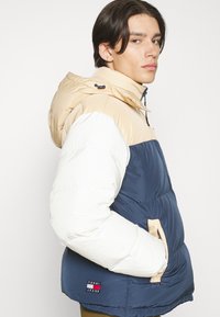 Tommy Jeans ALASKA - Chaqueta de plumas - trench/multi