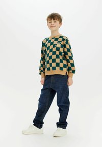 Groen en beige geruite sweatshirt met logo aan de linkerzijde, gecombineerd met blauwe denim broek en witte sneakers. Casual pasvorm met ribbelboorden.