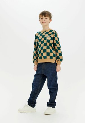 Groen en beige geruite sweatshirt met logo aan de linkerzijde, gecombineerd met blauwe denim broek en witte sneakers. Casual pasvorm met ribbelboorden.
