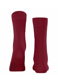 Burlington Bloomsbury - Calze - cranberry