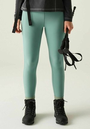 Regatta, REGATTA MONIRA WALKING LEGGINGS LEGGINGS - Leggings - ivy moss
