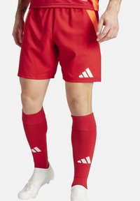 Rote Sportshorts mit vertikalen Rippungen, weißem Logo, kombiniert mit roten knielangen Socken mit weißen Akzenten und weißen Schuhen.