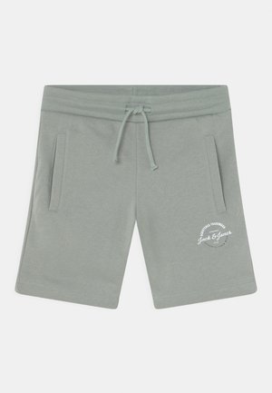 JJIBRAT LOGO JR - Shorts - slate gray