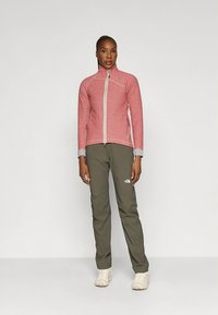 Κόκκινο φλις μπουφάν με ψηλό γιακά και κλείσιμο με φερμουάρ, σε συνδυασμό με πράσινο παντελόνι· διαθέτει γκρι λεπτομέρειες. Το υποδημα είναι ανοιχτόχρωμο.