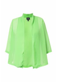 SHAWL COLLARED - Kevyt takki - pale green