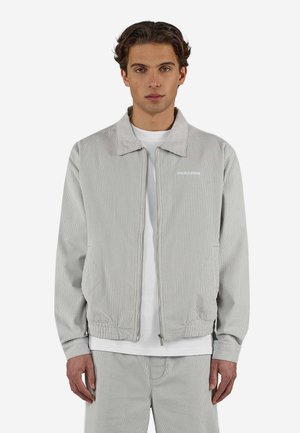 Uomo con giacca leggera grigio chiaro con cerniera sopra camicia bianca e pantaloni grigio chiaro abbinati, in piedi davanti a uno sfondo semplice.