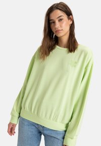 Light green sweatshirt with a round neckline, long sleeves, and a gathered hem. Features an embroidered flower design on the chest.