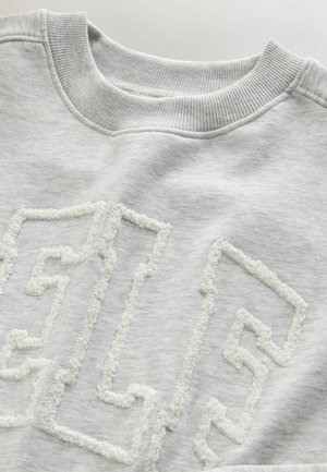 Gray sweatshirt with a ribbed neckline and fluffy white textured lettering. Fabric appears soft with a smooth finish.