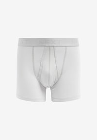 Next A FRONTS 10 PACK - Boxerbriefs - grey neutral