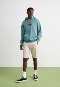 Volcom Shorts - stone