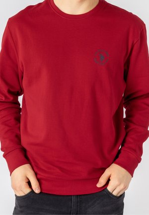 Bluza