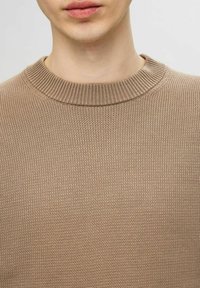 Maglione lavorato a maglia di colore marrone chiaro con scollo a girocollo a coste, caratterizzato da un motivo testurizzato. Il tessuto è morbido e presenta un aspetto leggermente peloso.