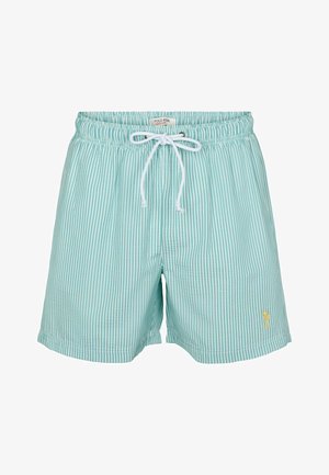 Lichtblauwe en witte gestreepte zwembroek met een elastische tailleband en aantrekkoord, met een klein gouden logo op de voorkant.