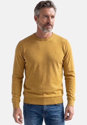 Uomo con barba sale e pepe che indossa un maglione girocollo giallo senape e jeans blu, in piedi contro uno sfondo chiaro e uniforme.