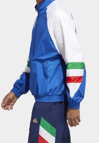 adidas Performance Fotbalový dres - royal blue