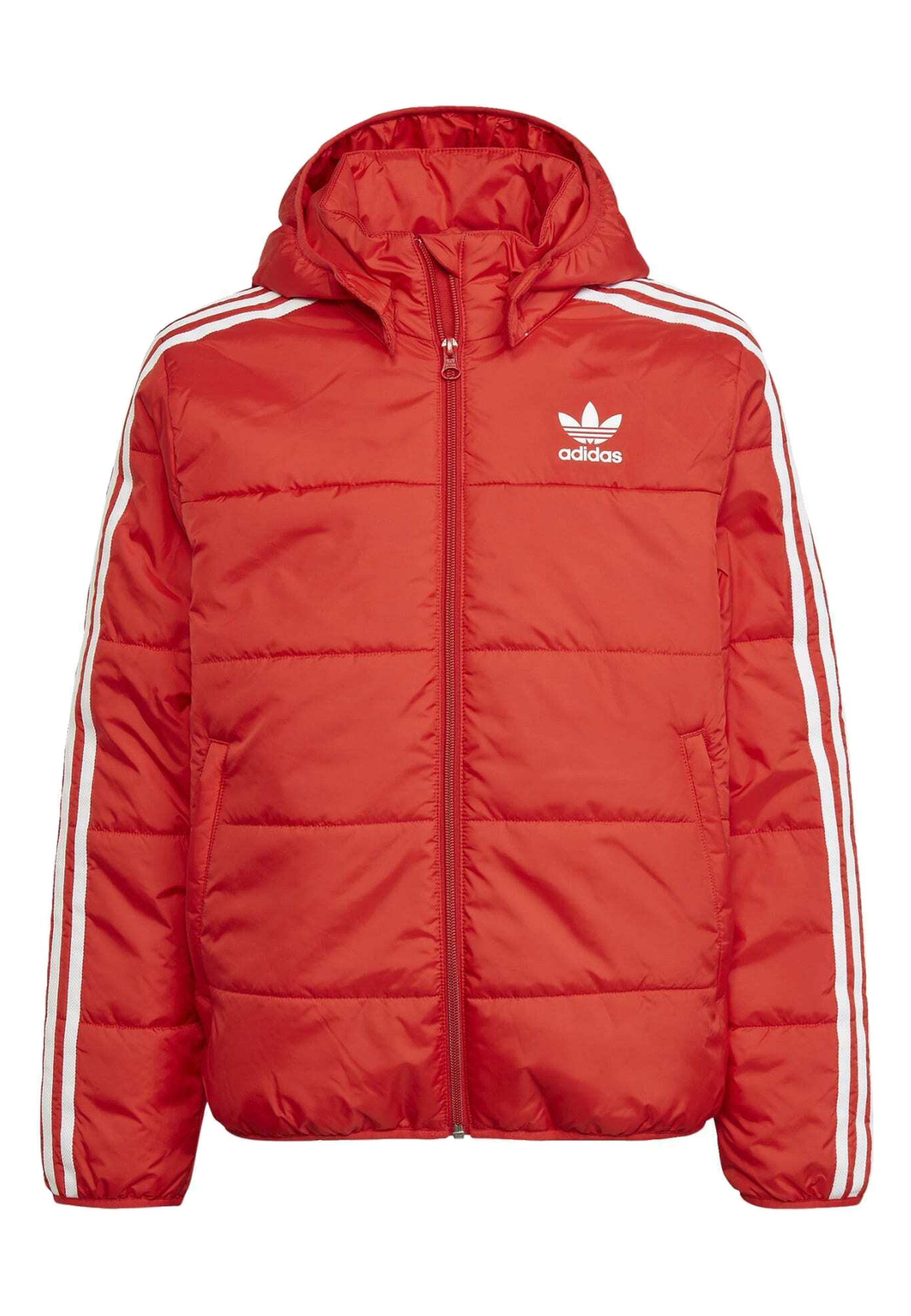 ajuste Desacuerdo Dibuja una imagen adidas Originals PADDED UNISEX - Winter jacket - red - Zalando.de