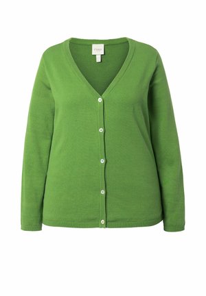 Cardigan verde a maniche lunghe con scollo a V e cinque bottoni bianchi sulla parte anteriore, realizzato in morbido tessuto a maglia.