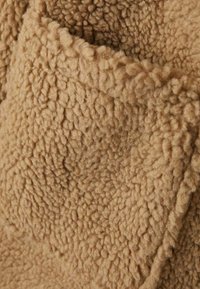 Name it LONG TEDDY JACKET - Abrigo de invierno - silver mink