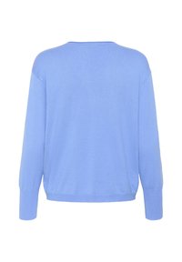 Pull bleu clair à manches longues avec poignets et ourlet côtelés, vu de dos sur fond blanc.