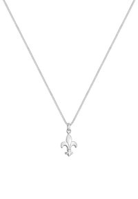 Hõbedane kaelakee fleur-de-lis ripatsiga. Ripatsil on siledad pinnad ja peened käänakud, mis rippuvad õhukesest kettist.