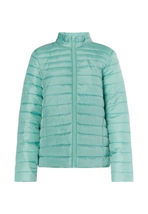 Leichte, mintgrüne Daunenjacke mit horizontaler Steppung, Reißverschluss und Stehkragen. Glatte, glänzende Stoffoberfläche.