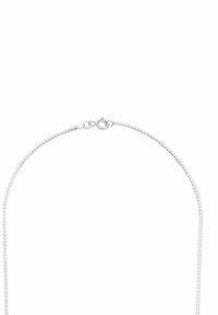 Collana con delicate catena in argento, dotata di chiusura a molla, posata su uno sfondo bianco.