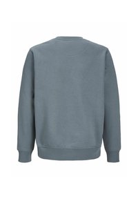 Jack & Jones Junior JORVESTERBRO CREW NECK NOOS - Ikdienas džemperis - stormy weather