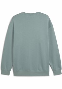 Lys grøn sweatshirt med rund hals, afslappet pasform og ribbede manchetter. Glat tekstur, minimale syninger og ingen synlige logoer.