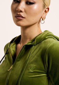 Green velvet zip-up hoodie with a high collar, featuring a subtle logo on the chest and gold hardware. Smooth texture and fitted design.