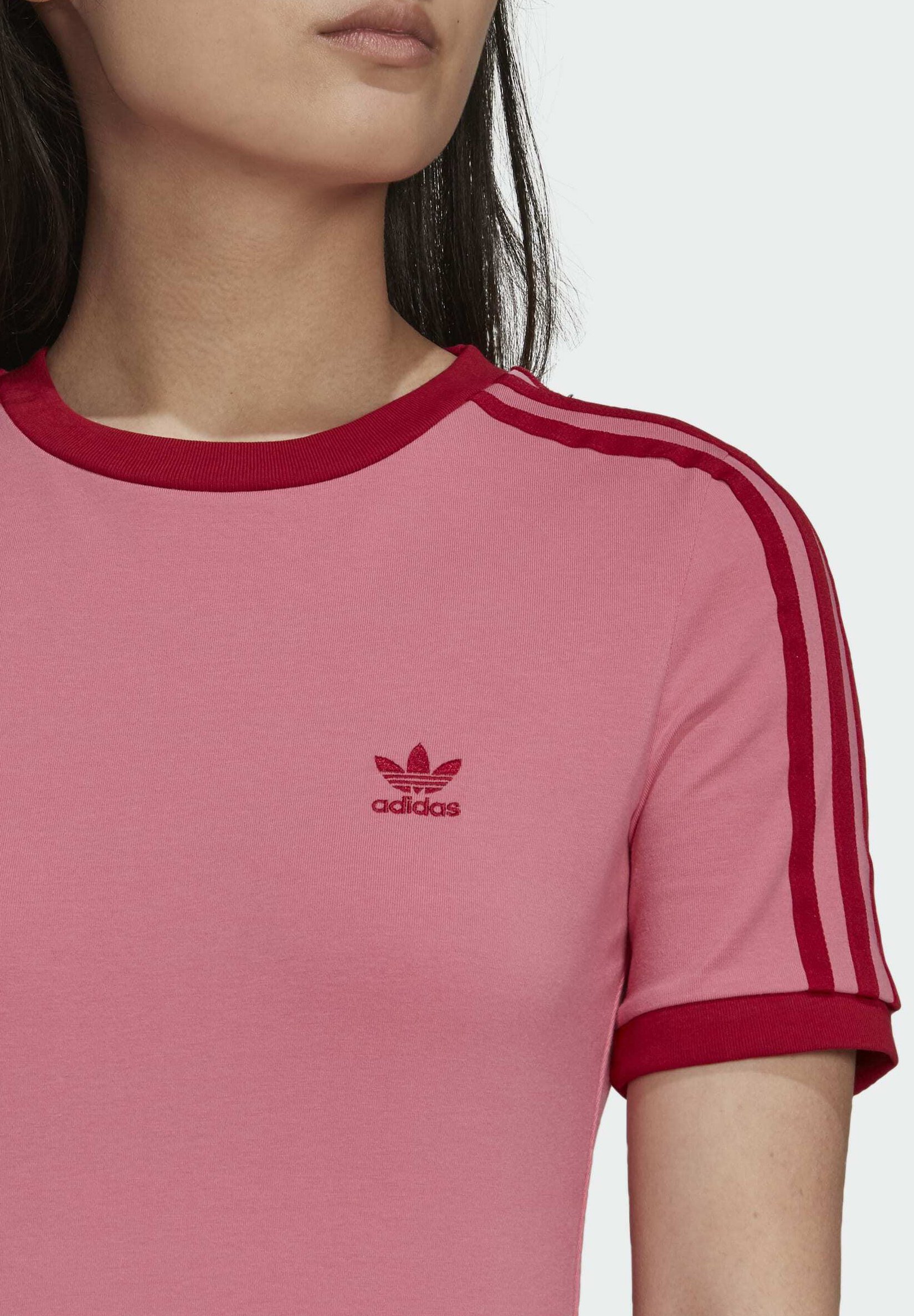 anfibi militari inglesi