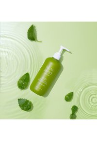 Bottiglia di plastica verde con pompa, etichettata "Cool Brain Exfoliating Scalp Shampoo." Circondata da foglie di menta fresca su una superficie verde chiaro.