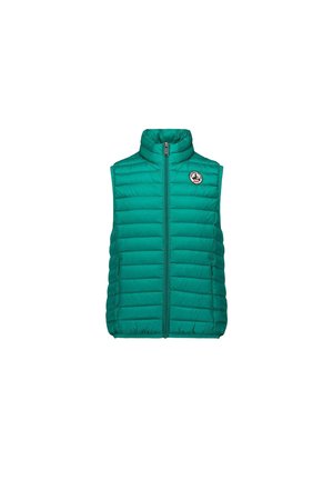 SANS MANCHES - Bodywarmer - vert