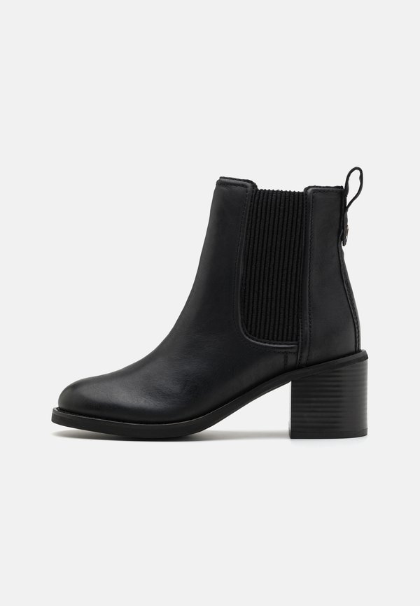 CHAMBERLY TOP - Classic ankle boots